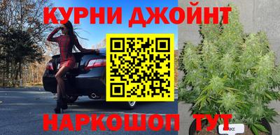 PSILOCYBIN Краснознаменск