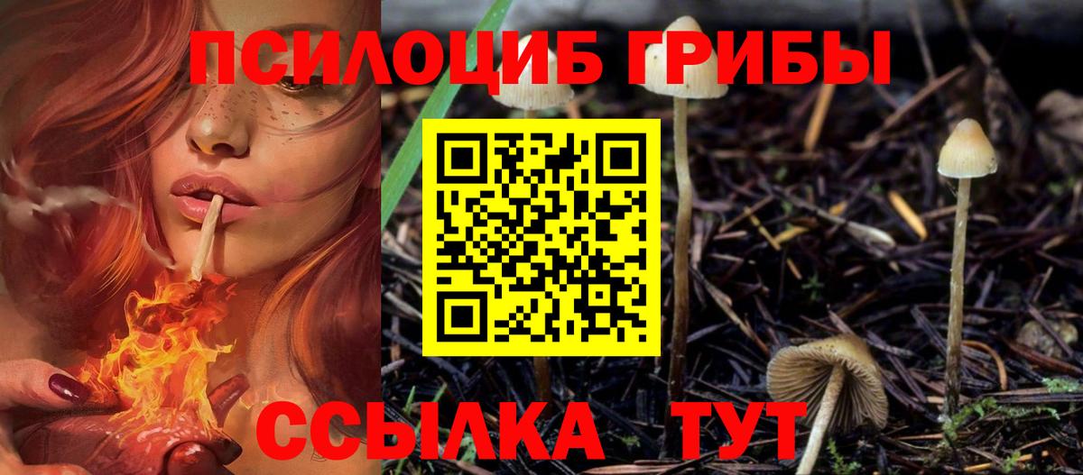 Галлюциногенные грибы Cubensis Кандалакша